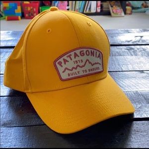 NWOT unisex vintage mountain logo Patagonia hat